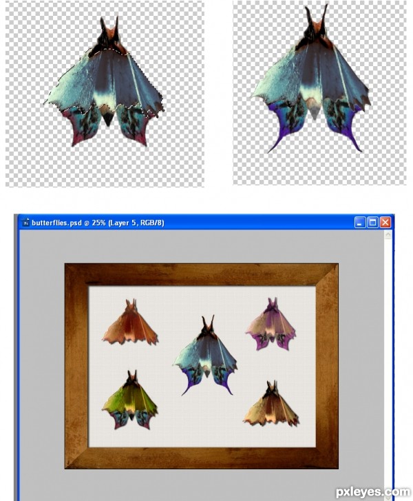 Creation of Butterfly colection: Step 8